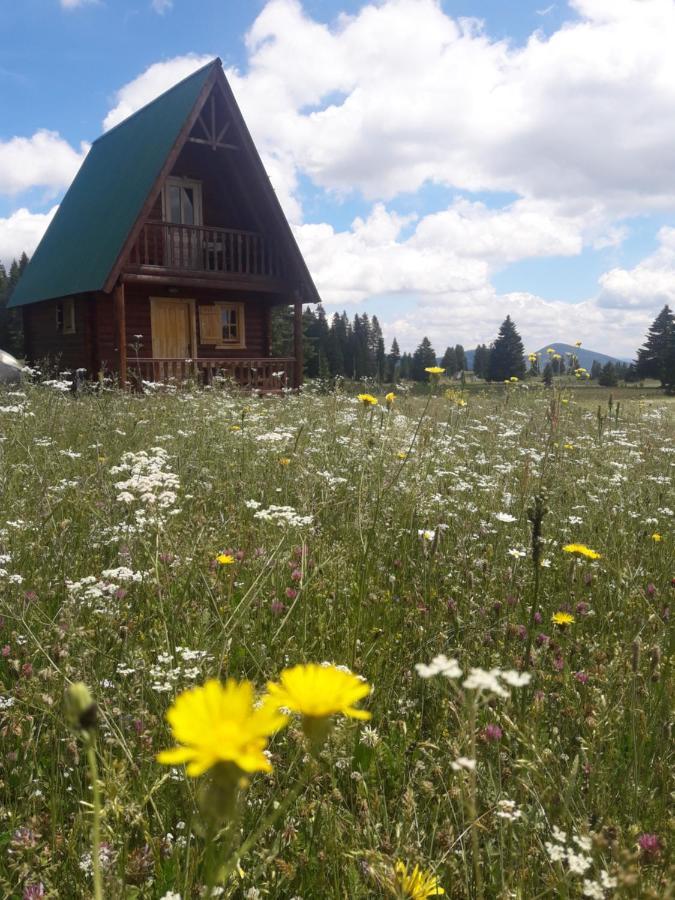 Holiday Home Jabucilo Zabljak  Exterior photo